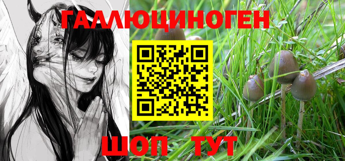 Псилоцибиновые грибы прущие грибы  Псилоцибиновые грибы Psilocybe  Вход с VPN  Феодосия 