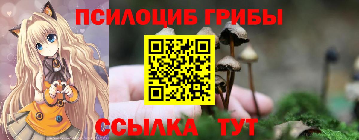 Галлюциногенные грибы Cubensis Феодосия